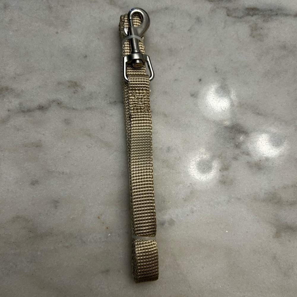 Dog Leash